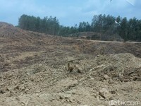 Tanoto Siap Kembalikan Lahan untuk Ibu Kota RI, Dapat Ganti Rugi?