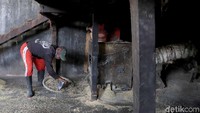 Perlu diketahui petani di Kabupaten Bandung ada luas pertanaman beras ketan hitam sekitar 840 hektare dengan varietas lokal.