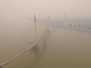 RUU KUHP Bisa Jerat Korporasi Pembakar Hutan