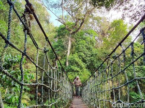 Lebak Longgarkan Perbatasan, Pariwisata Masih Tutup