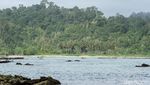 Unik! Ada Pulau Spongebob Lho di Aceh