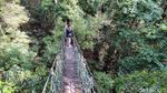 Foto Kanopi di Atap Hutan, Hanya 3 Jam dari Jakarta