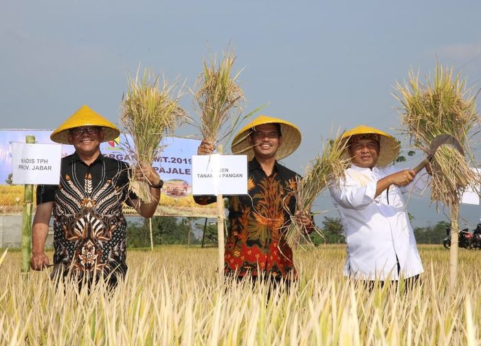 Foto: Dok. Kementan Foto: Dok. Kementan