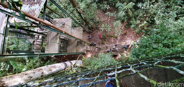 Foto Kanopi  di Atap Hutan  Hanya 3 Jam dari Jakarta Foto 3