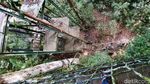 Foto Kanopi di Atap Hutan, Hanya 3 Jam dari Jakarta