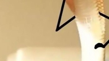 Hmmmm. (Foto: Boredpanda)