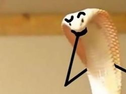 Heboh Ular Berkaki, Begini Gaya Lucu Jika Ular Punya Tangan