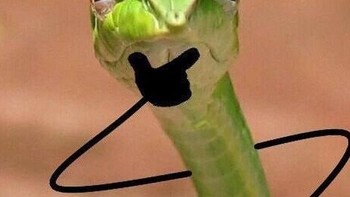 Seperti ada yang mencurigakan. (Foto: Boredpanda)