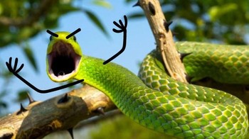 Whats up bro! (Foto: Boredpanda)