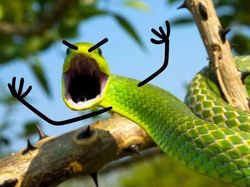 Heboh Ular Berkaki, Begini Gaya Lucu Jika Ular Punya Tangan