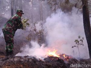 Masuki Hari ke-6, Hutan di Lereng Gunung Slamet Masih Terbakar
