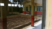 Di halaman sekolah ini sempat ditanamai sayuran kol oleh warga pada Agustus lalu.