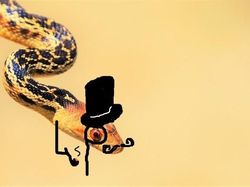 Heboh Ular Berkaki, Begini Gaya Lucu Jika Ular Punya Tangan