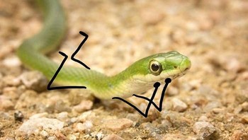 Nyimak dulu ah. (Foto: Boredpanda)