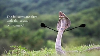 Aku bebas di alam liar. (Foto: Boredpanda)