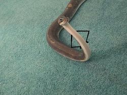 Heboh Ular Berkaki, Begini Gaya Lucu Jika Ular Punya Tangan