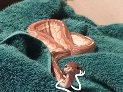 Heboh Ular Berkaki, Begini Gaya Lucu Jika Ular Punya Tangan