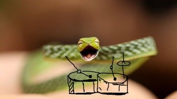 Yuk kita ngeband. (Foto: Boredpanda)