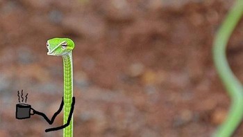 Ngopi dulu bro. (Foto: Boredpanda)