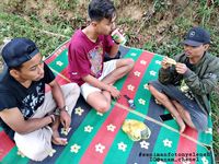 Aksi Nyeleneh Tukang Gorengan Jualan di Atas Pohon Curi Perhatian Netizen