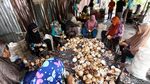 Bisnis Pengolahan Kelapa Sokong Perekonomian Para Ibu di Sinabang