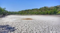 Saat mengering, terlihat banyak garam di pinggiran danaunya (Afif Farhan/detikcom)