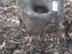 Potret Viral Deretan Toilet Paling Horor