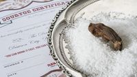 Pria Ini Akhirnya Mencicipi Koktail dengan Campuran Jari Kakinya