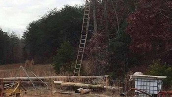 Gak bisa lebih ke atas lagi ya. Foto: Bored Panda