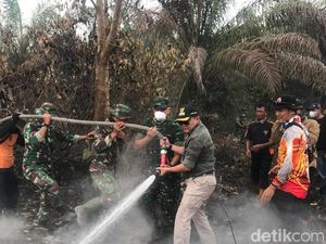 Pemadaman Karhutla di Muba Sumsel Terkendala Akses Sulit
