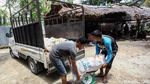 Bisnis Pengolahan Kelapa Sokong Perekonomian Para Ibu di Sinabang