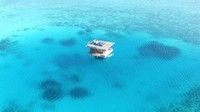 Saat liburan itu, Weber melamar Antoine dengan menyelam di bawah laut. Dia menyelam hanya memakai masker snorkeling dan sirip kaki, tanpa tabung oksigen. Weber berenang mendekati salah satu jendela kamar bawah laut mereka dan melamar Antoine yang ada di dalam kamar bawah laut. Foto: THE MANTA RESORT via BBC