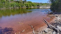 Panorama di pinggir danaunya, benar-benar merah airnya! (Afif Farhan/detikcom)