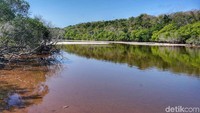 Danau Merah yang jarang orang lihat! (Afif Farhan/detikcom)