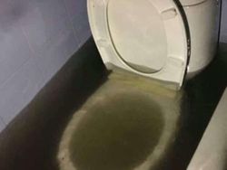 Potret Viral Deretan Toilet Paling Horor