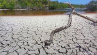 Sudut-sudut Danau Merah sangat menarik untuk diabadikan dengan kamera (Afif Farhan/detikcom)