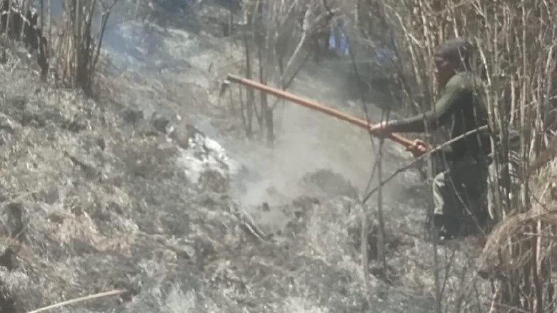 Kebakaran di Gunung Semeru Meluas, Jalur Pendakian Ditutup Kebakaran di Gunung Semeru Meluas, Jalur Pendakian Ditutup