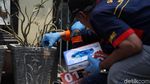 Melihat dari Dekat Densus 88 Geledah Rumah Terduga Teroris di Jakut