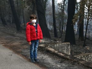 Kualitas Udara Buruk Akibat Asap Karhutla, Sekolah di Madina Gelar PJJ