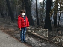 Kabut Asap Selimuti Sebagian Wilayah Sumut Hari Ini, Jarak Pandang Tersisa 1 Km