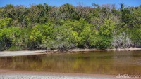 Suasana di Danau Merah masih sangat alami tak terjamah (Afif Farhan/detikcom)