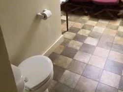 Potret Viral Deretan Toilet Paling Horor