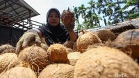 Usaha pengolahan kelapa milik Pak Rasudin itu pun membuka lapangan pekerjaan baru bagi ibu-ibu di area sekitar rumahnya.