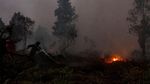 Potret Satgas Karhutla Menembus Malam Padamkan Kebakaran di Riau