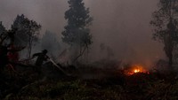 Malam yang gelap tak mematahkan semangat Satgas Karhutla untuk memadamkan kobaran api. 