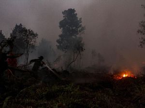 Tim Gabungan Masih Padamkan Lahan Gambut di Asahan yang Terbakar