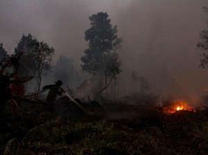 Penanggulangan Karhutla di Riau Telan Biaya Rp 468 M