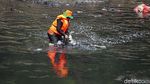 Aksi Pasukan Oranye Nyemplung Sungai untuk Bersihkan Sampah