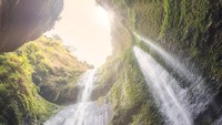 Keindahan Air Terjun Madakaripura bukanlah rahasia lagi. Mengalir di lembah yang sangat hijau dengan lereng tebing yang bila di foto sangatlah instagramable. (Foto: iStock)