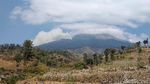 Penampakan Kepulan Asap Kebakaran di Gunung Sumbing